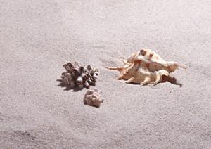 OPP袋とはどういった袋なのか