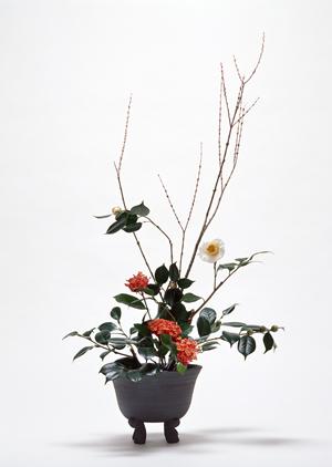 保護メガネを着用するメリットとは